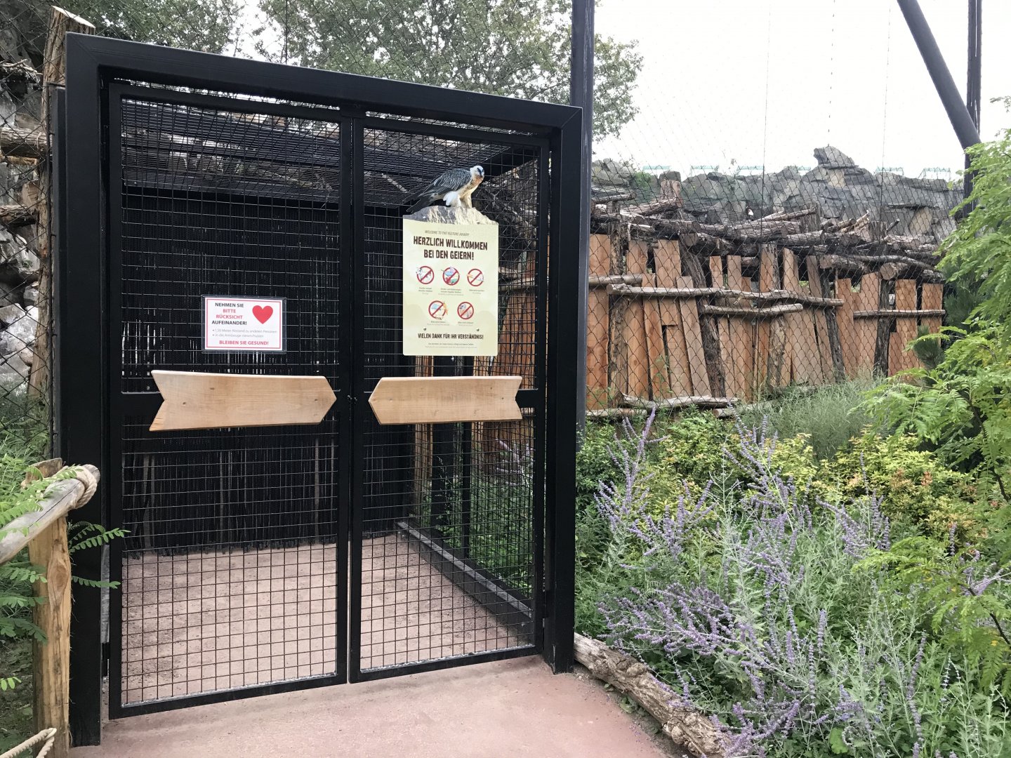 Vulture aviary