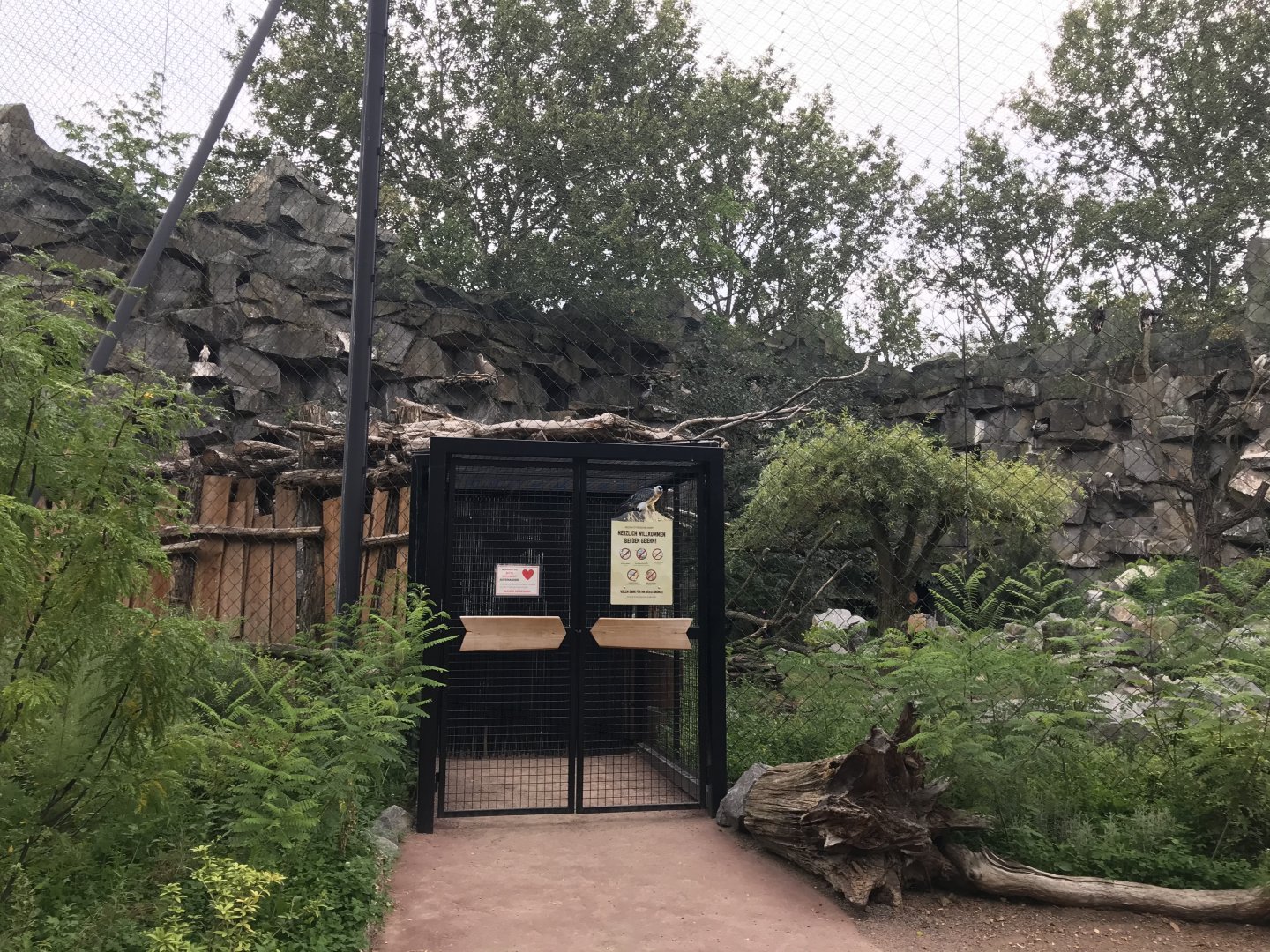 Vulture aviary