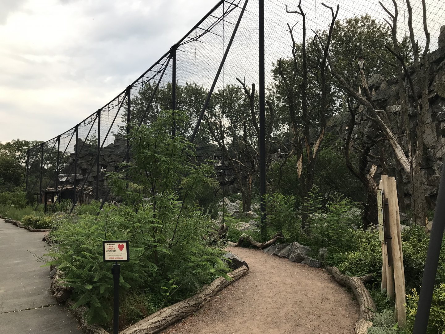 Vulture aviary
