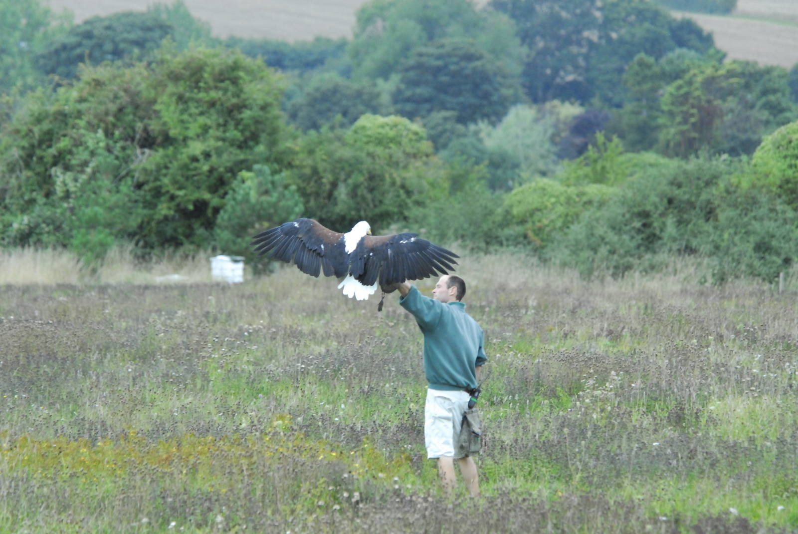 Vulture Awareness Day 2009