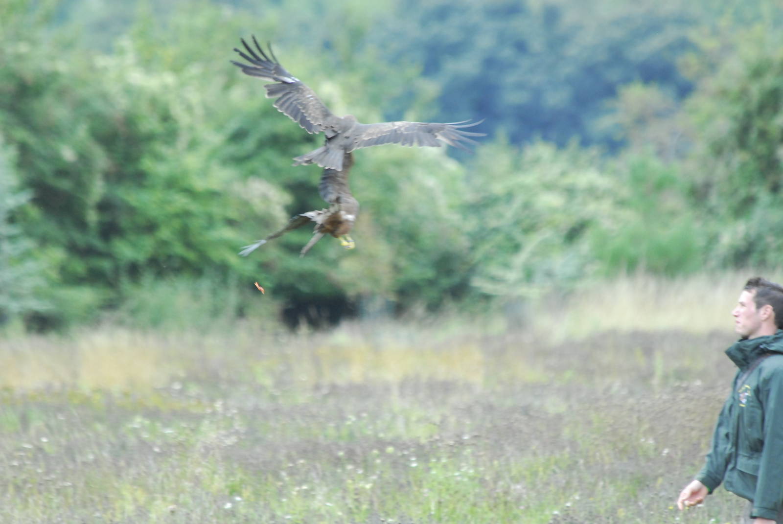 Vulture Awareness Day 2009