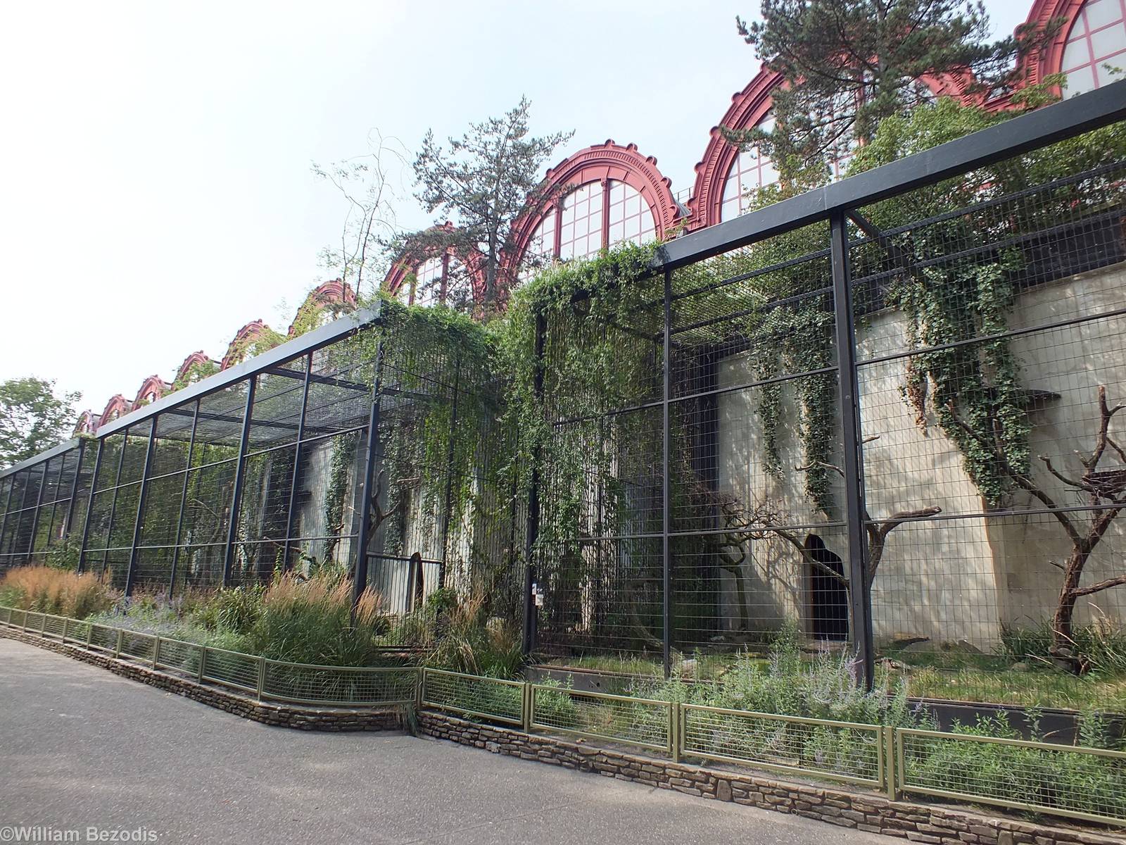 Vulture/Bird of Prey Aviaries