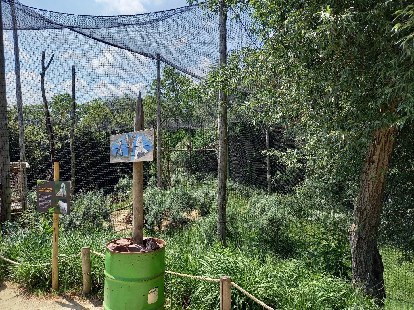 Vulture - Crowned crane -Hamerkop aviary