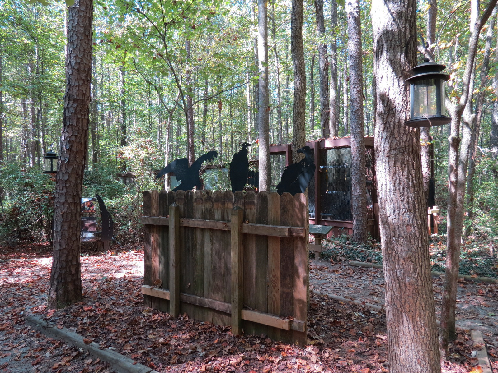 Vulture Culture Exhibits Area