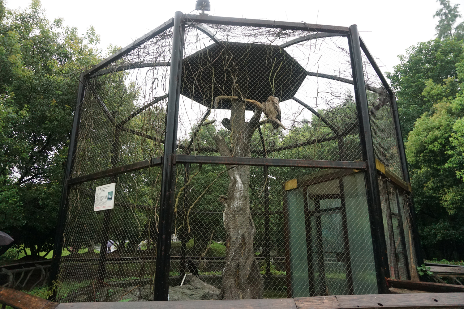 Vulture enclosure