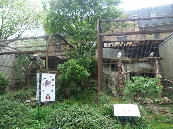 Vulture Enclosures