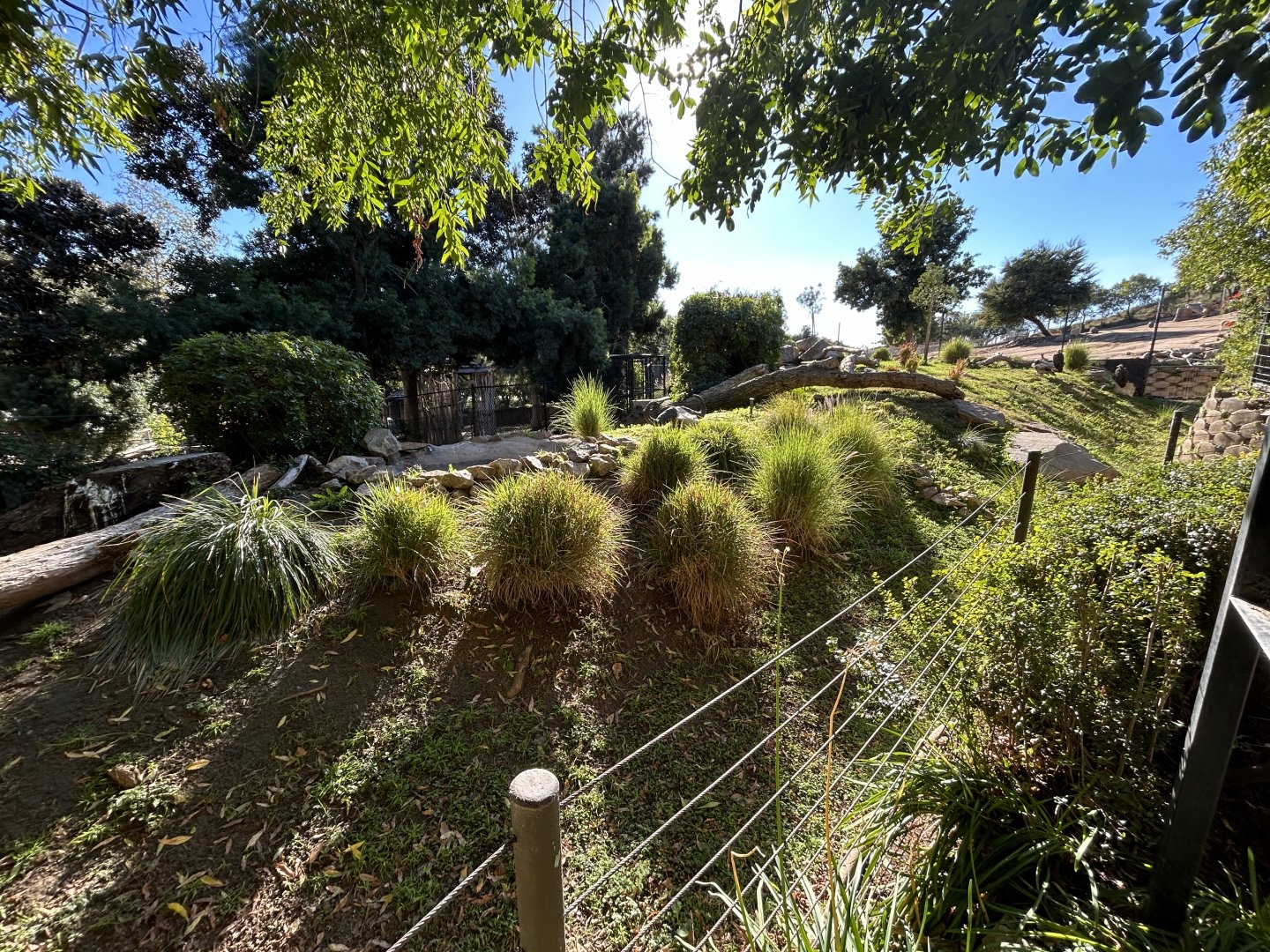 Vulture Exhibit (3 species) - Africa Loop