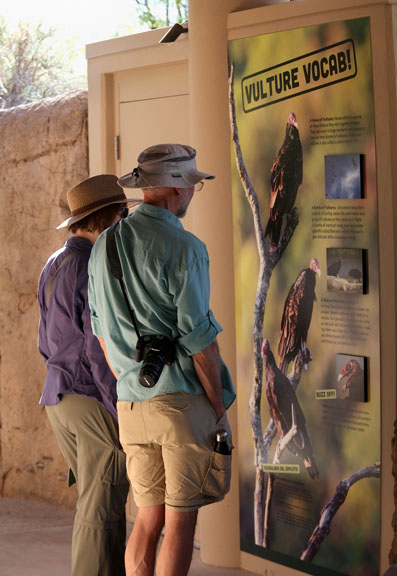 vulture exhibit