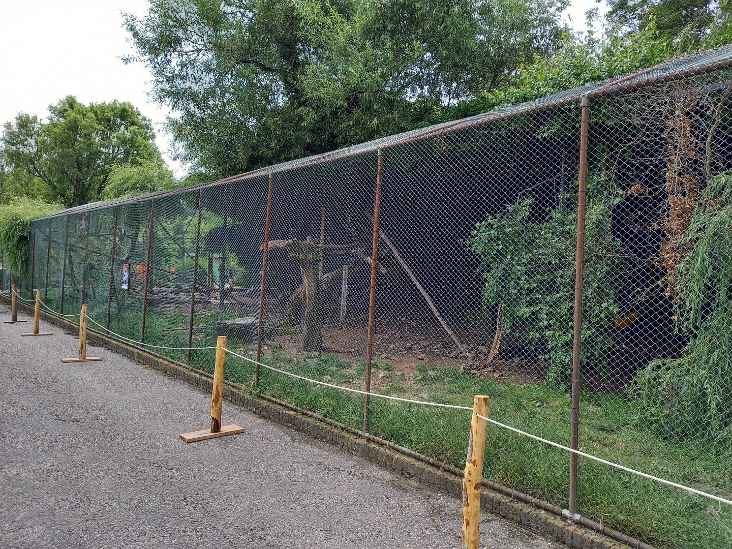 Vulture - Hornbill and Crow-aviary