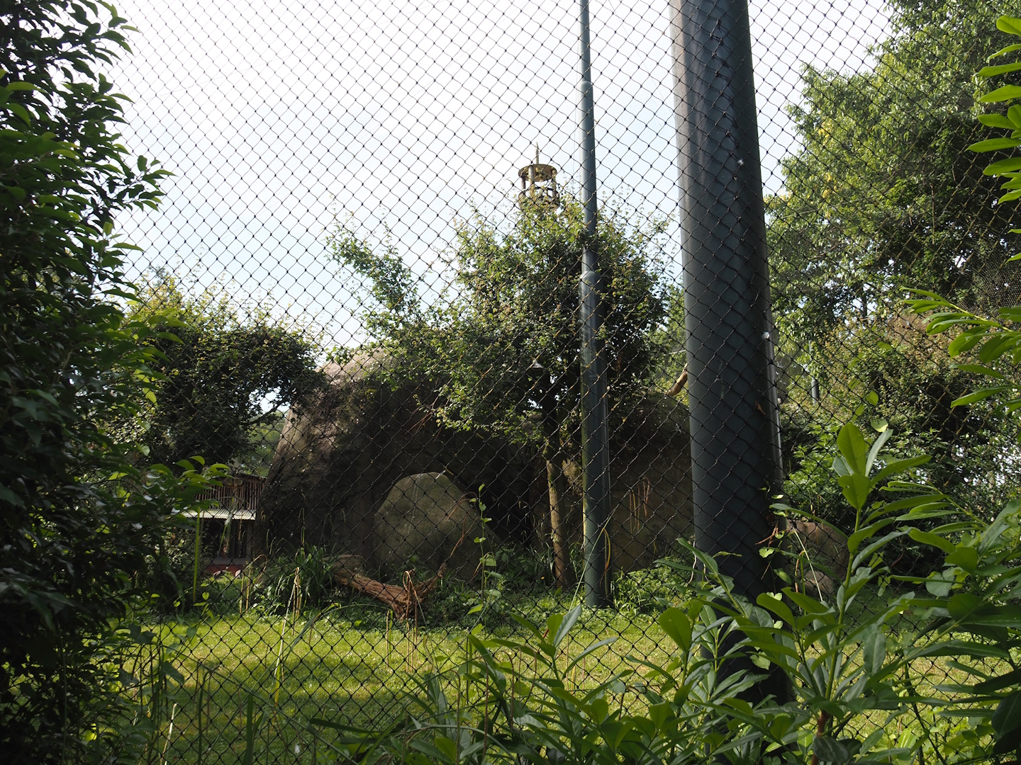 Vulture, marabou and secretary bird aviary, 2024-06-30