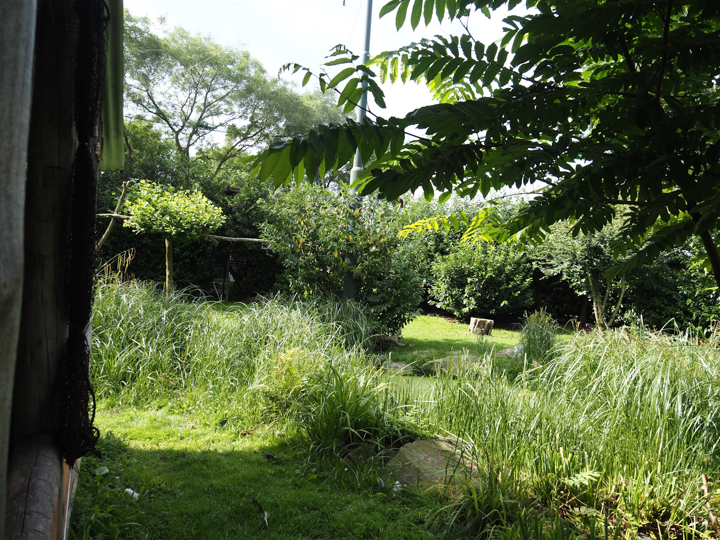 Vulture, marabou and secretary bird aviary, 2024-06-30