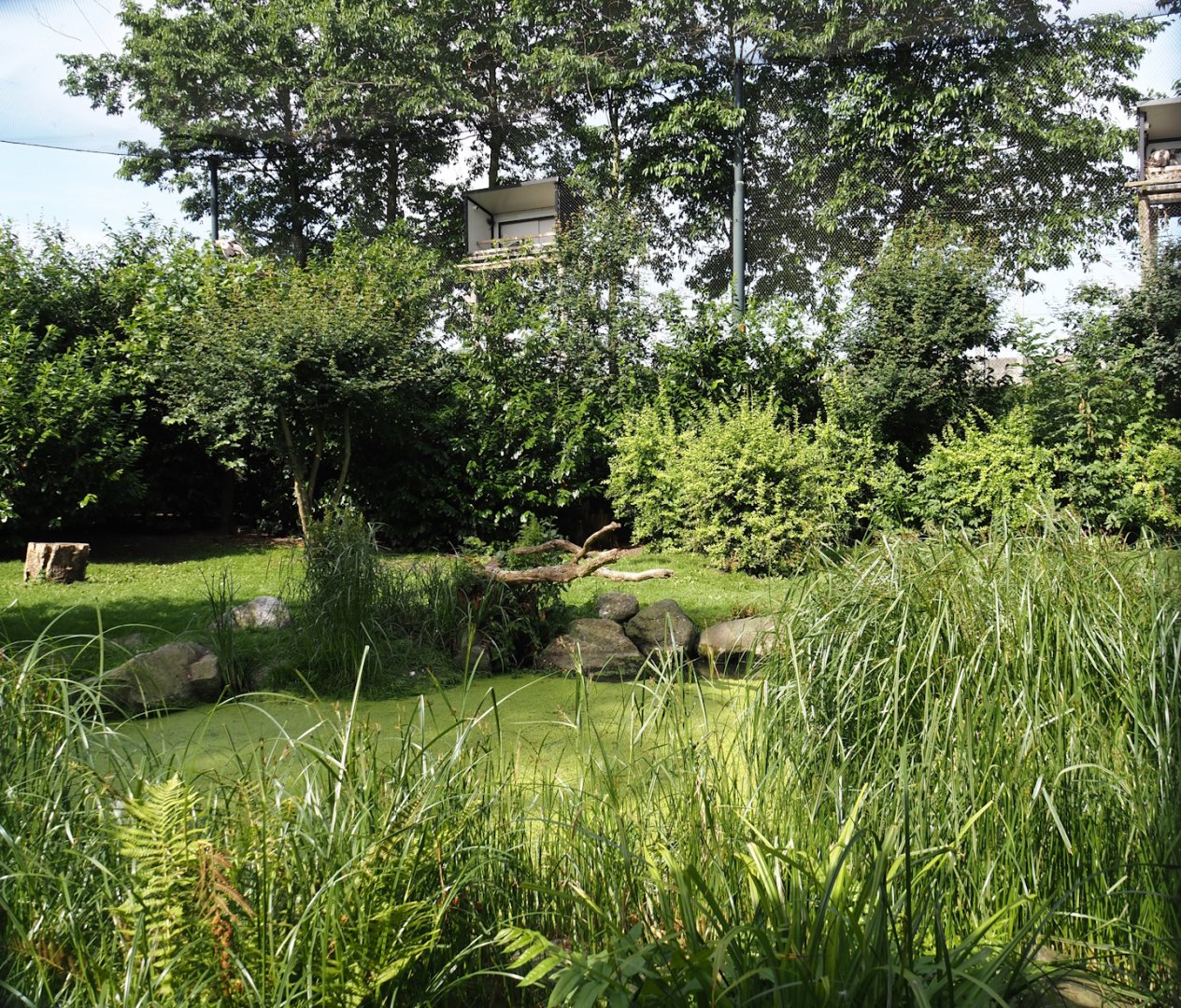 Vulture, marabou and secretary bird aviary, 2024-06-30