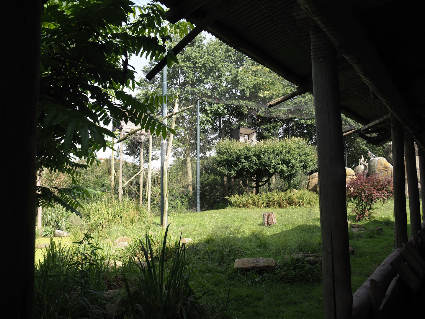 Vulture, marabou and secretary bird aviary, 2024-06-30