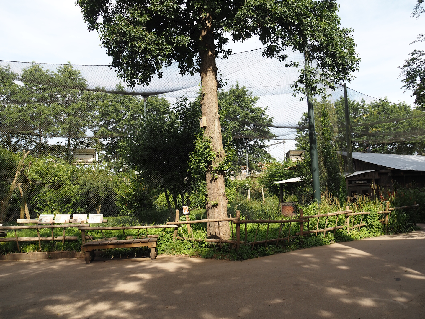 Vulture, marabou and secretary bird aviary, 2024-06-30