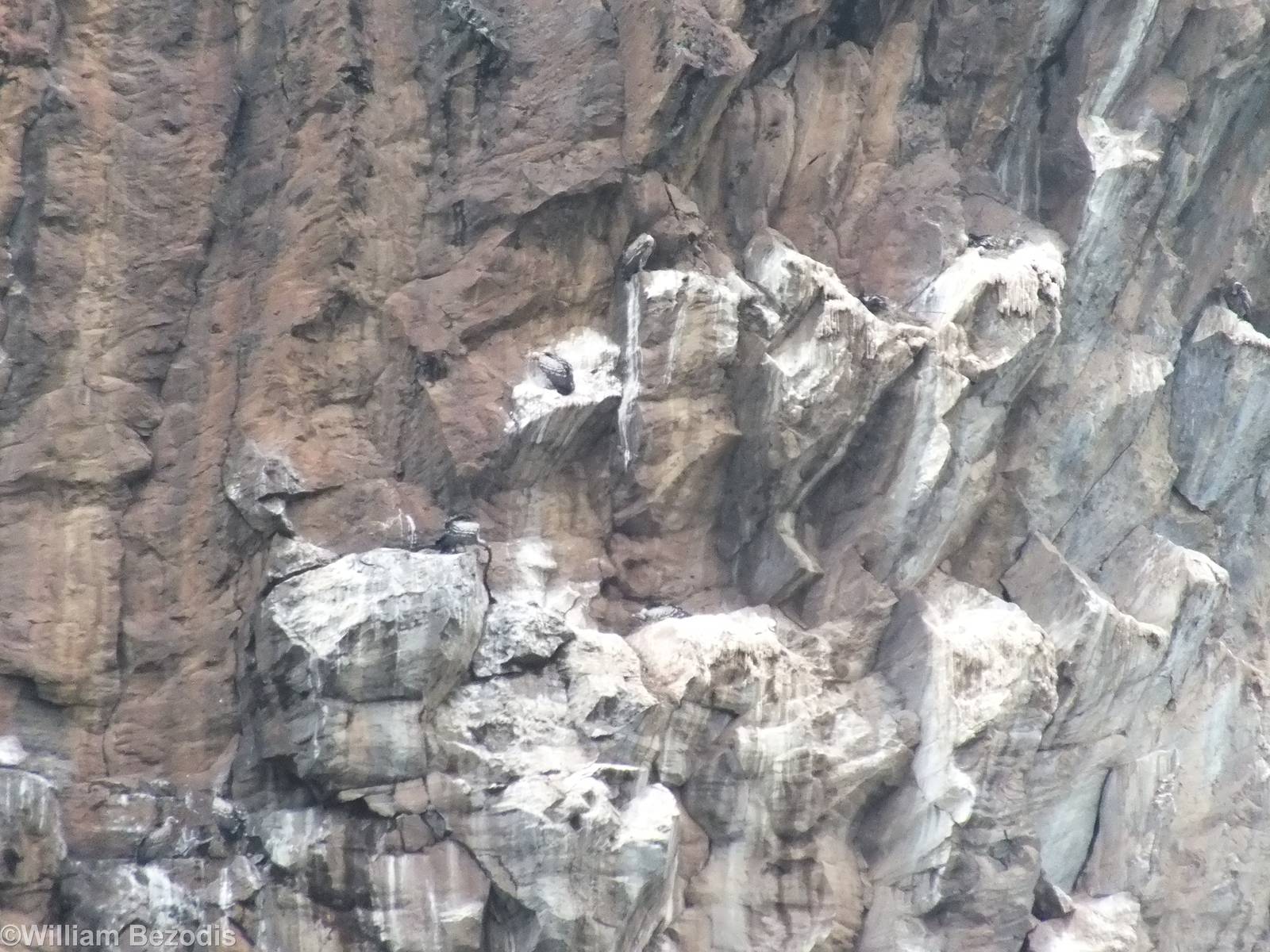 Vulture Nesting Cliffs - Hell's Gate National Park