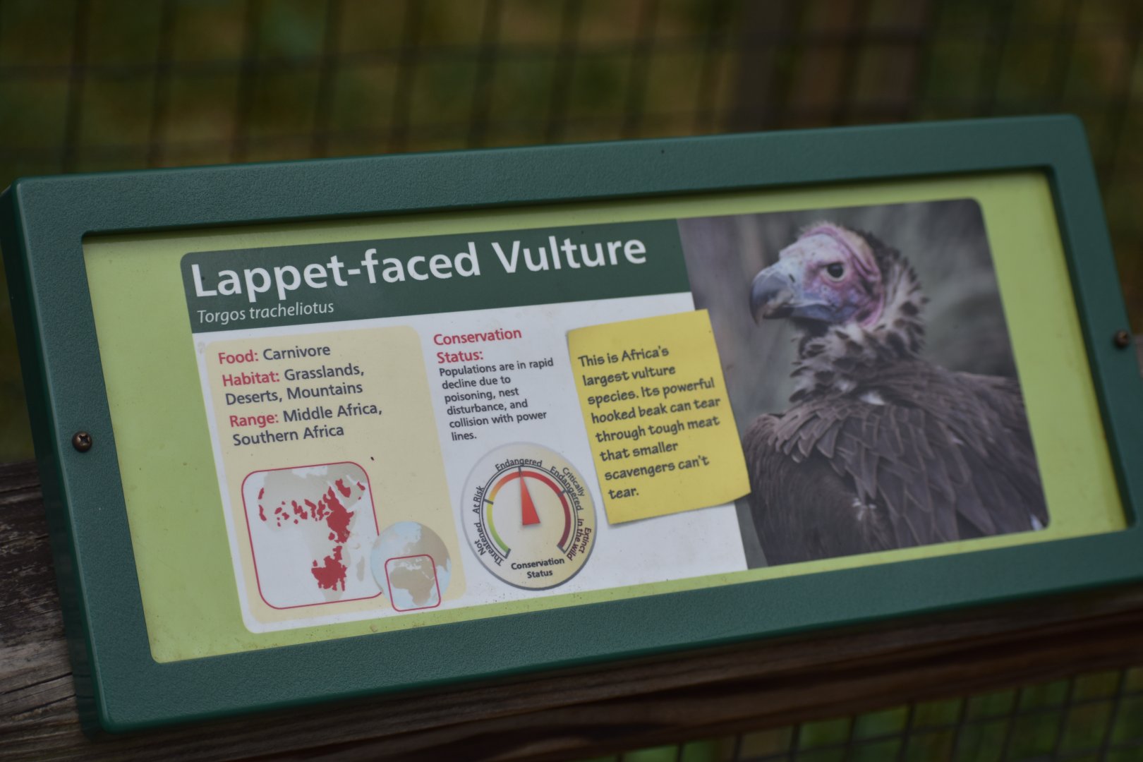 Vulture Signage