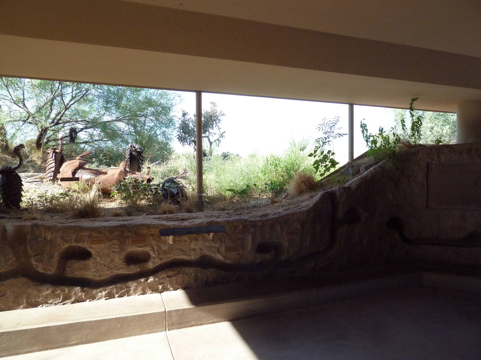 Vulture Statues + Prairie Dog Mock Tunnels