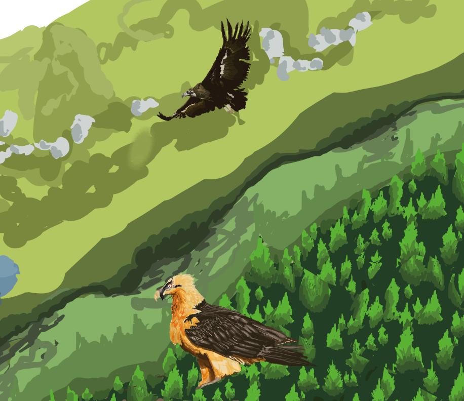 Vulture Valley - Map of Turkish exhibit