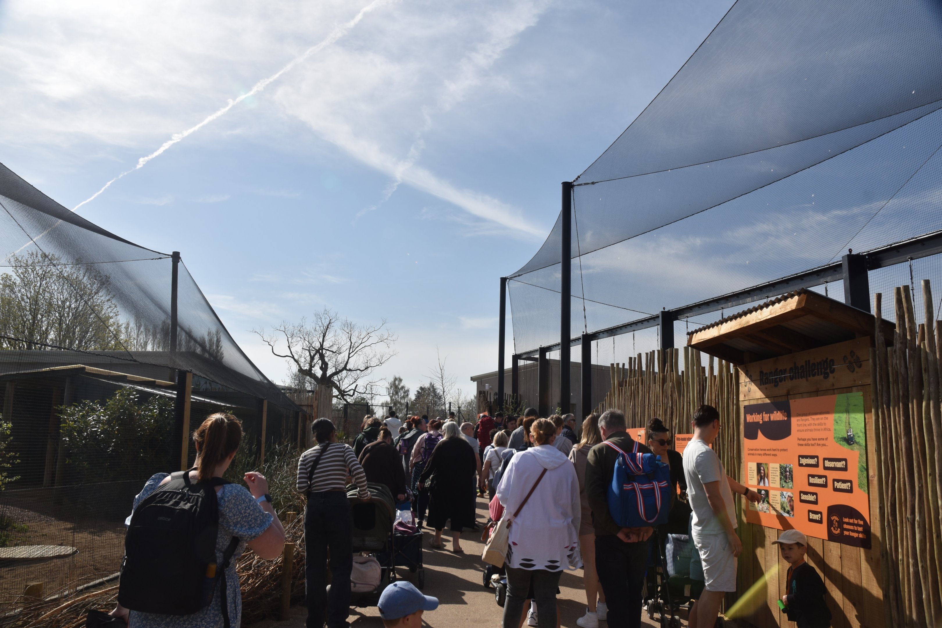 Vulture Viewing Area, Heart of Africa at Chester, 12th April 2025