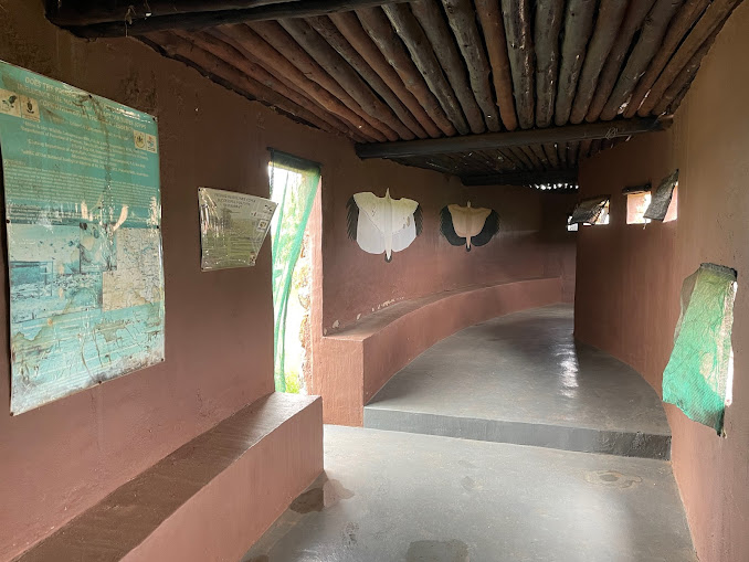 Vulture Viewing Area