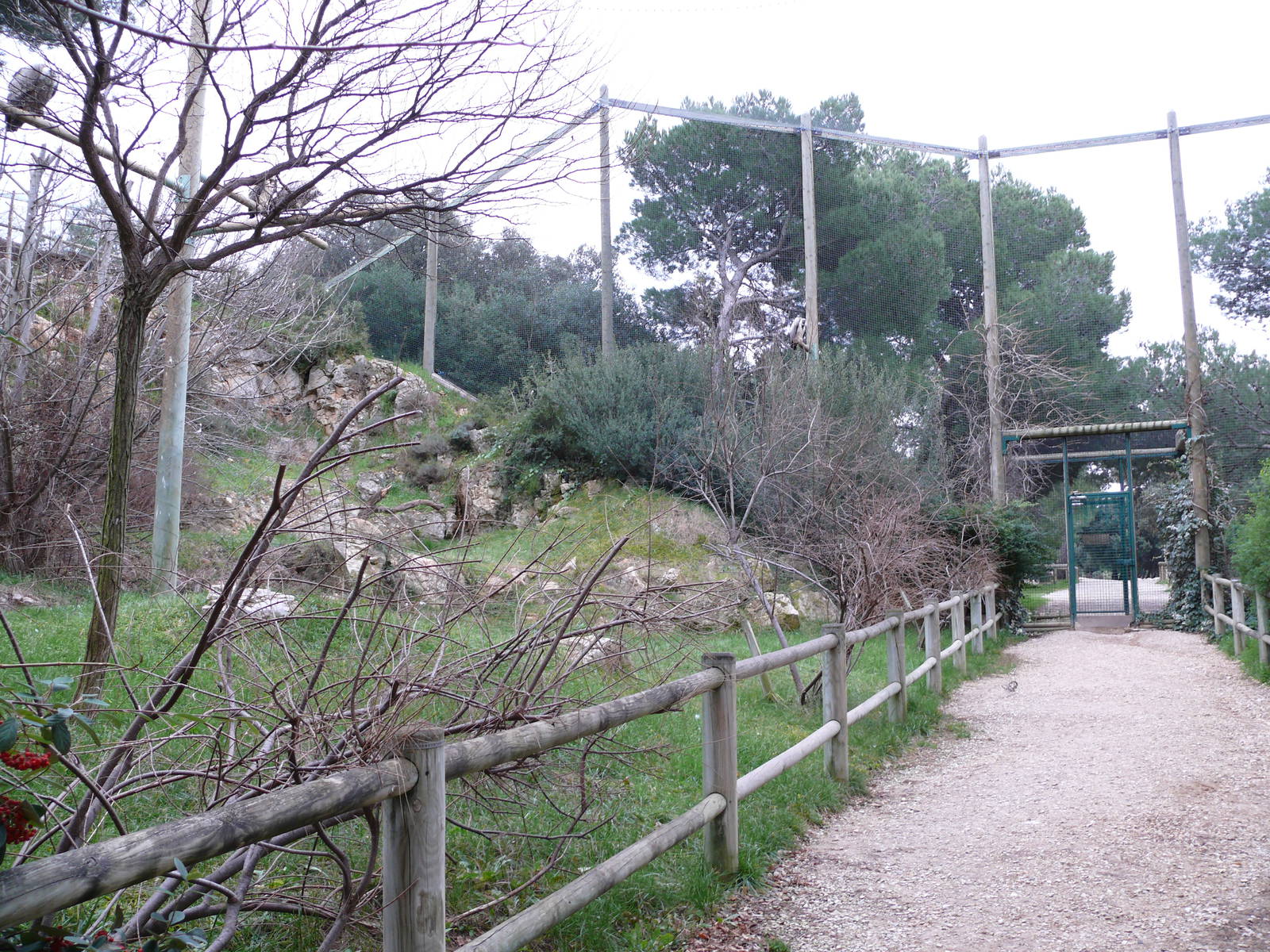 Vulture walk-through aviary