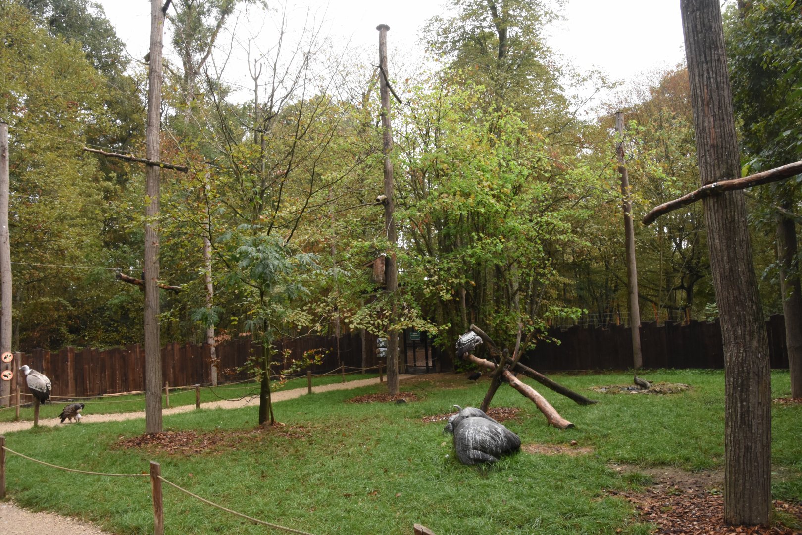 Vulture walkthrough aviary