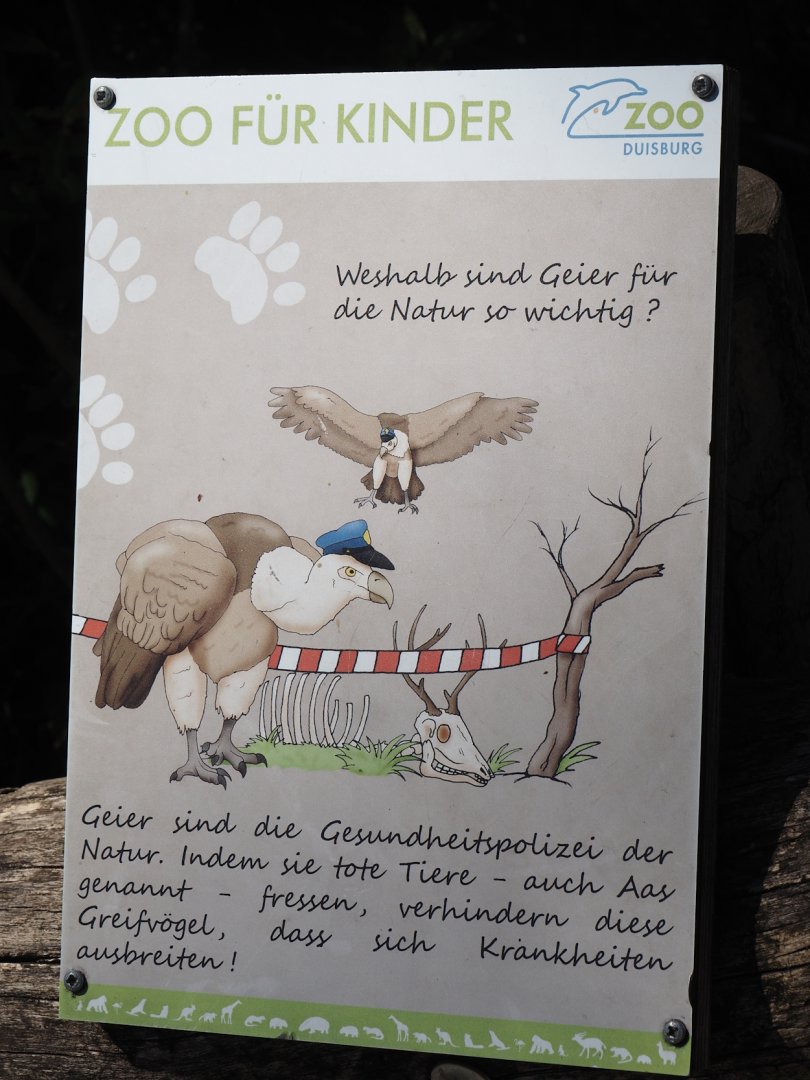 Vultures as the health police of the wild signage, 2024-06-08