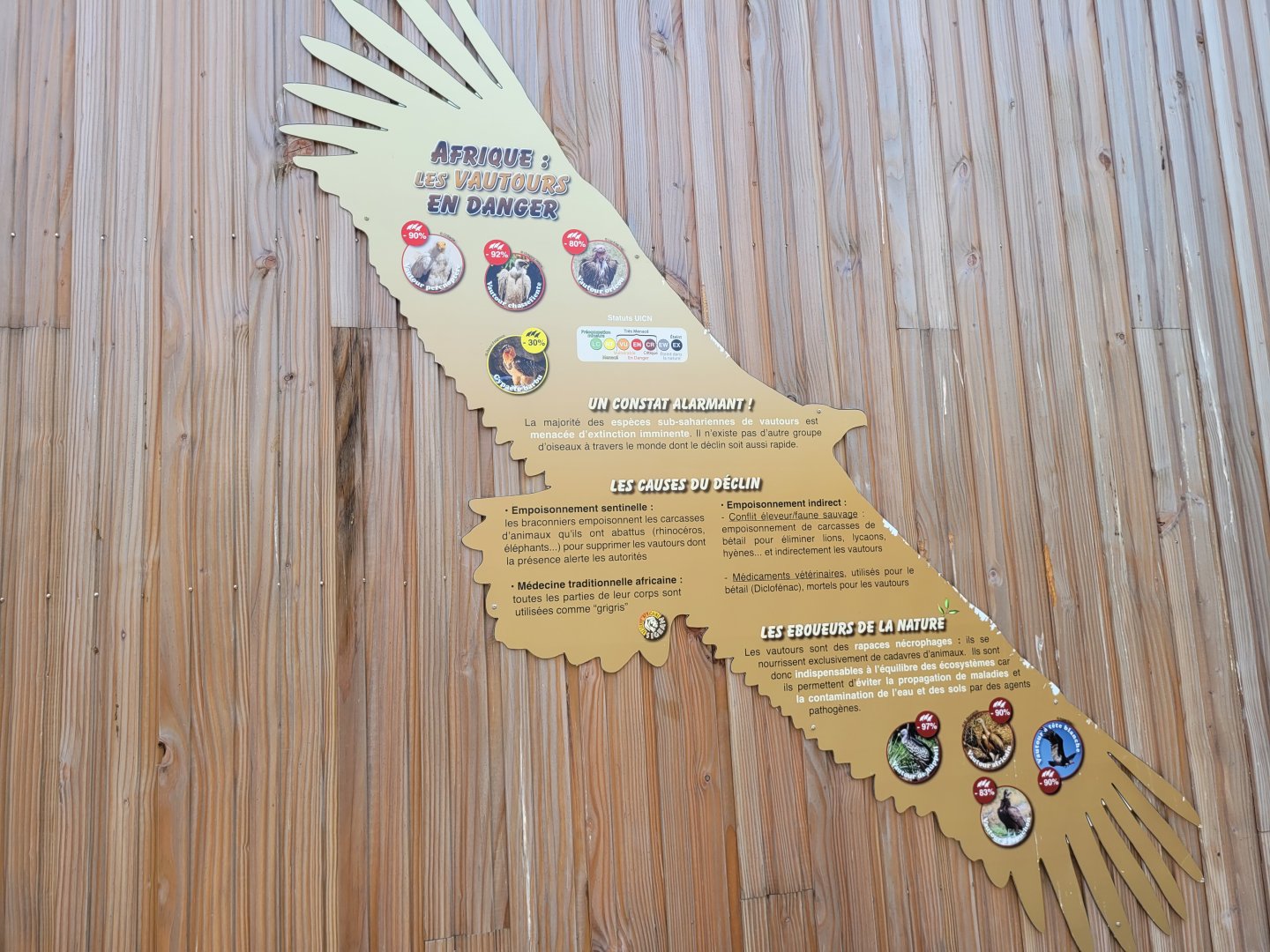 Vultures of Africa sign -Réserve Africaine de Sigean (2022)