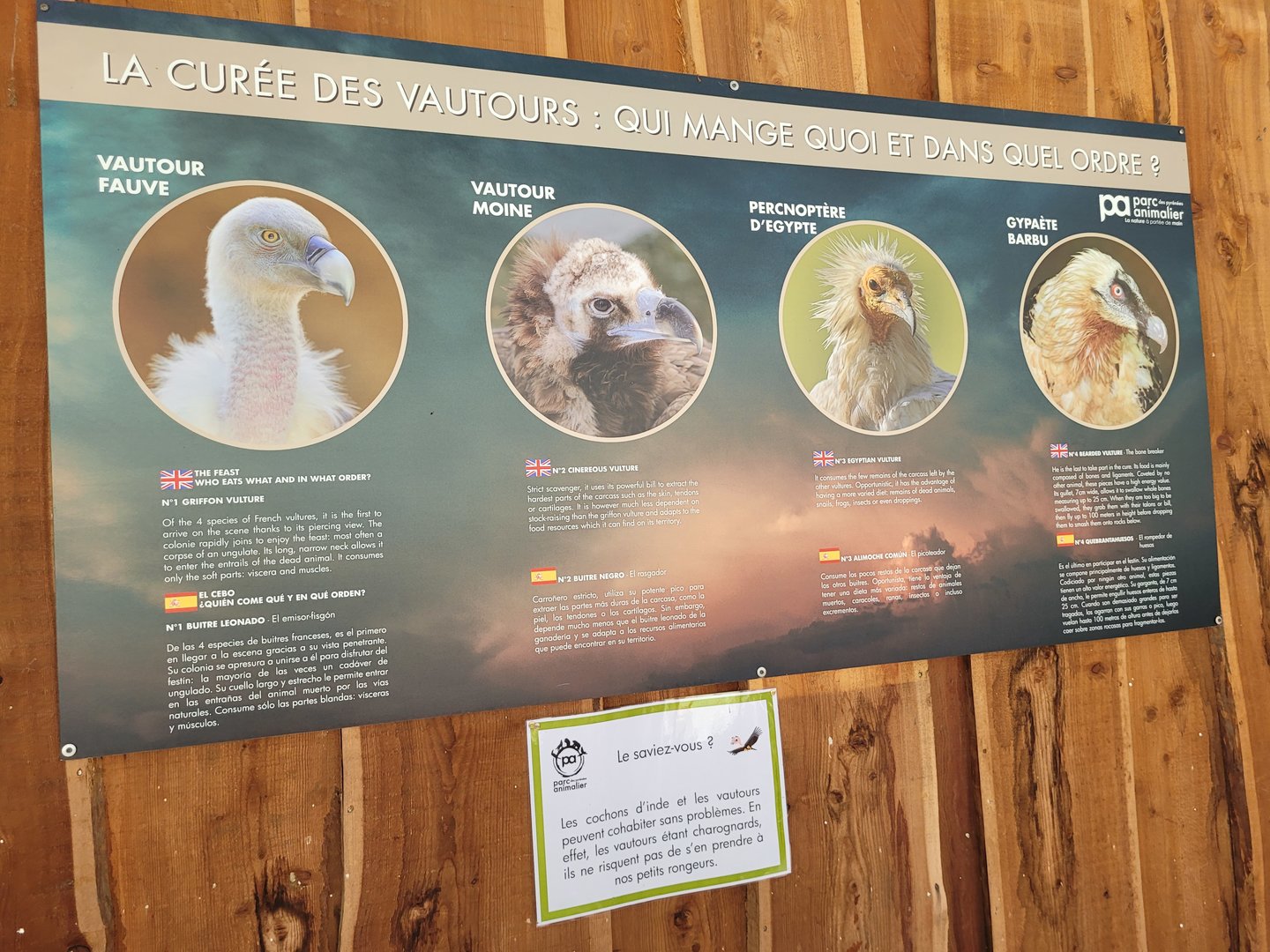 Vultures of Europe -Parc Animalier des Pyrénées (2023)