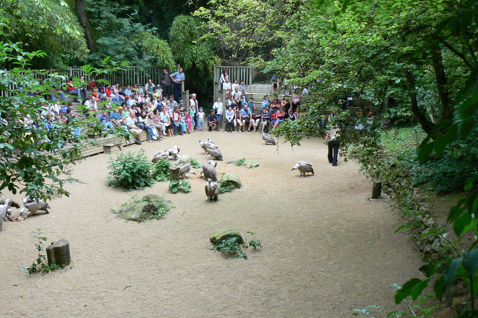 Vultures' pit - Vulture feeding area