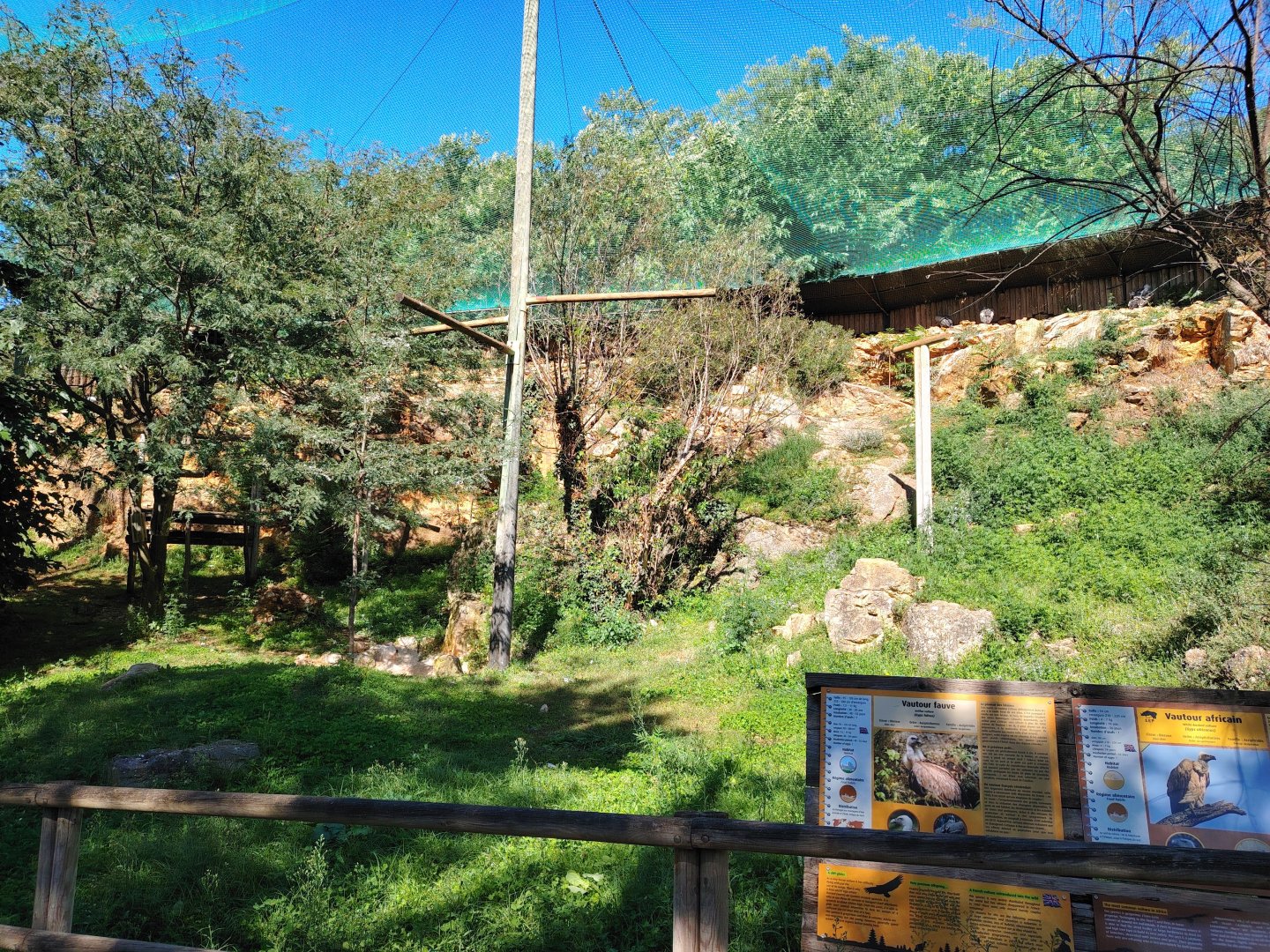 Vultures Walkthrough Aviary
