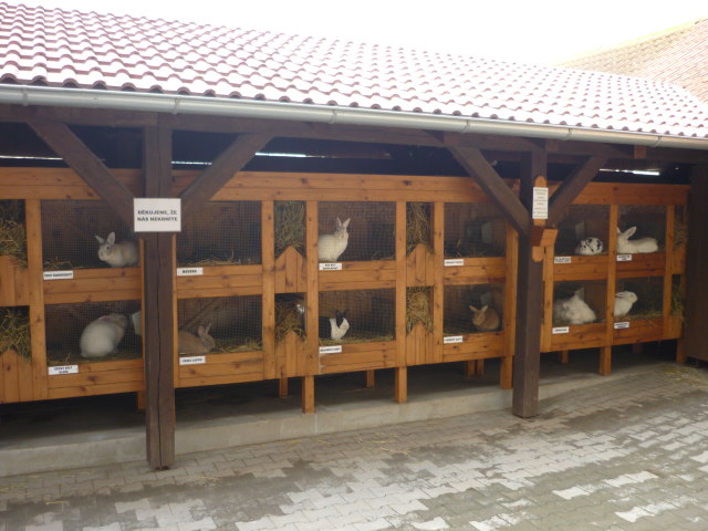 Vykov Zoo March 2009