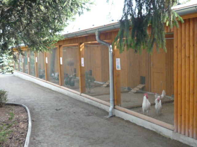 Vykov Zoo March 2009