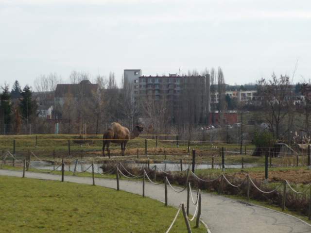 Vykov Zoo March 2009