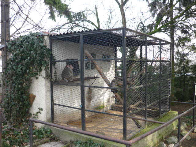 Vykov Zoo March 2009