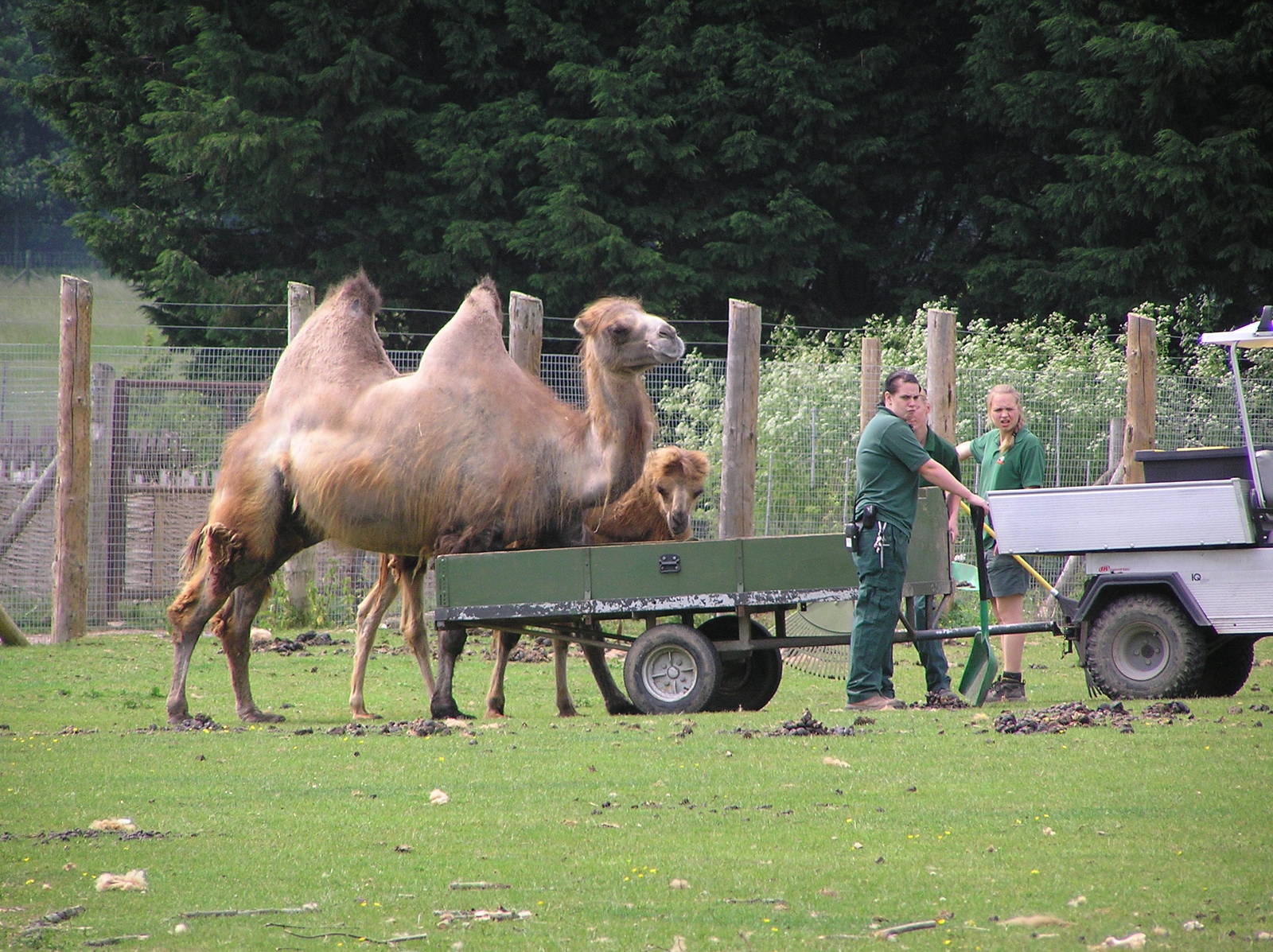 Wacker, Marmaduke and Keepers