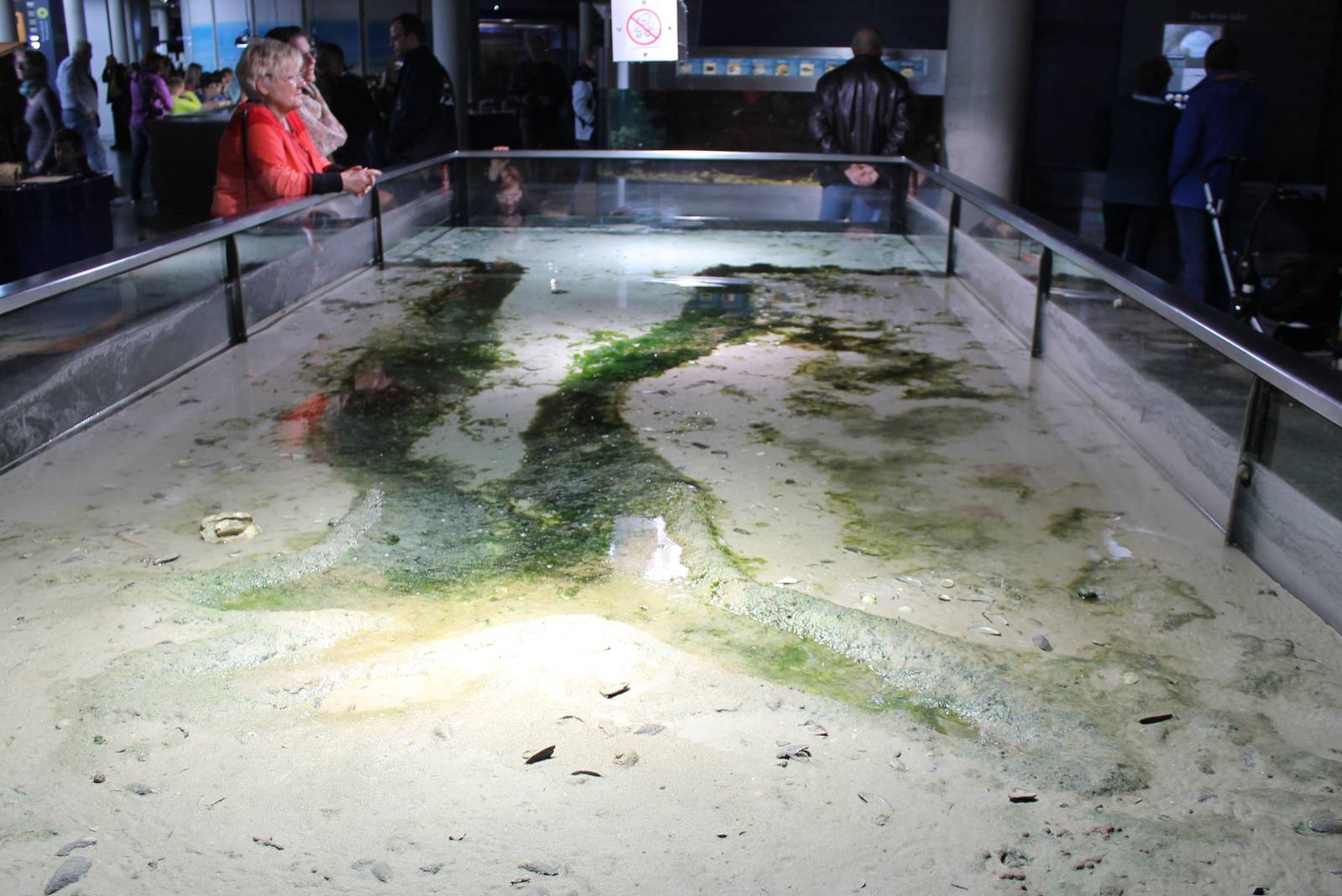 Wadden sea aquarium