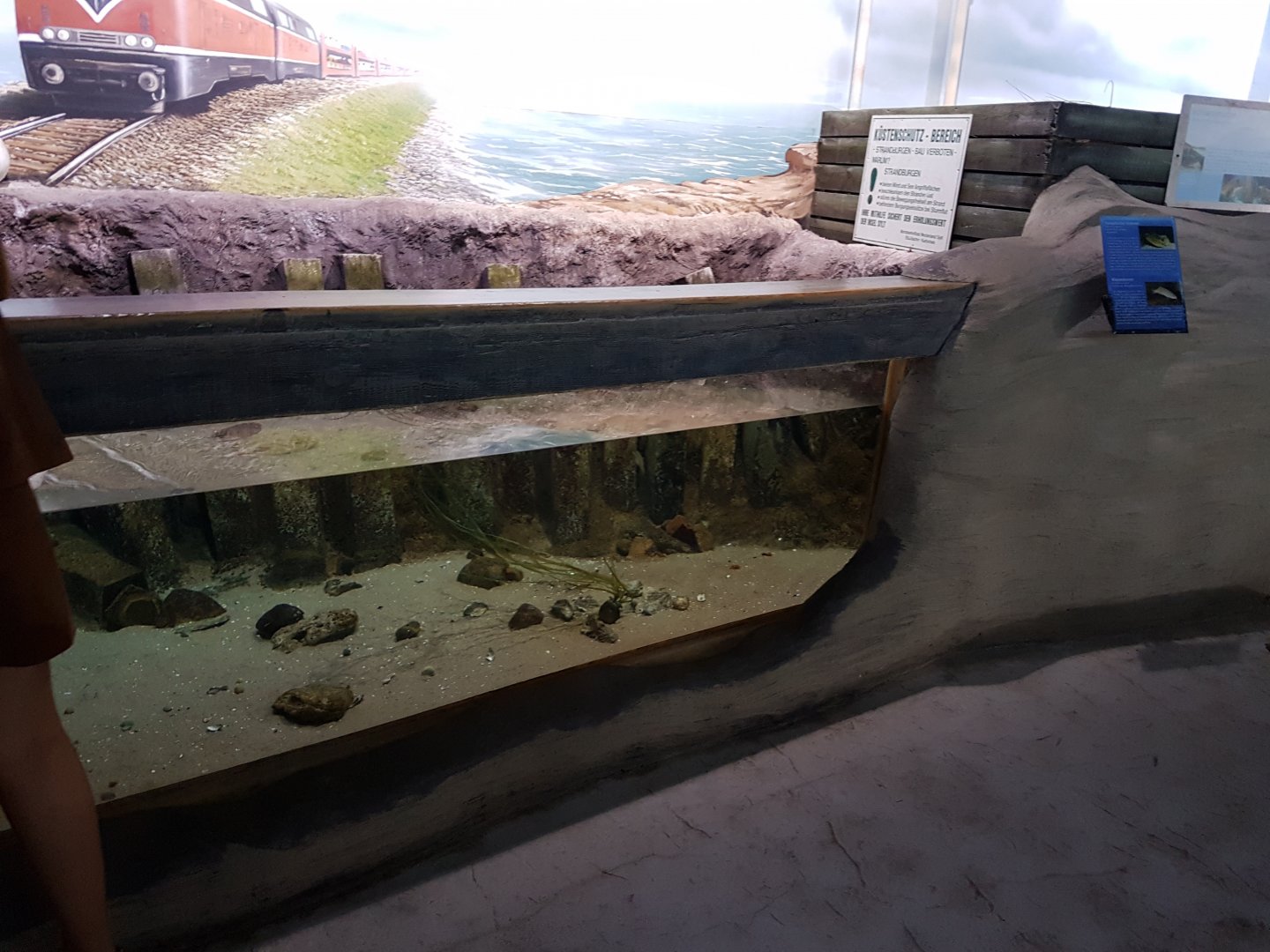 Wadden Sea aquarium