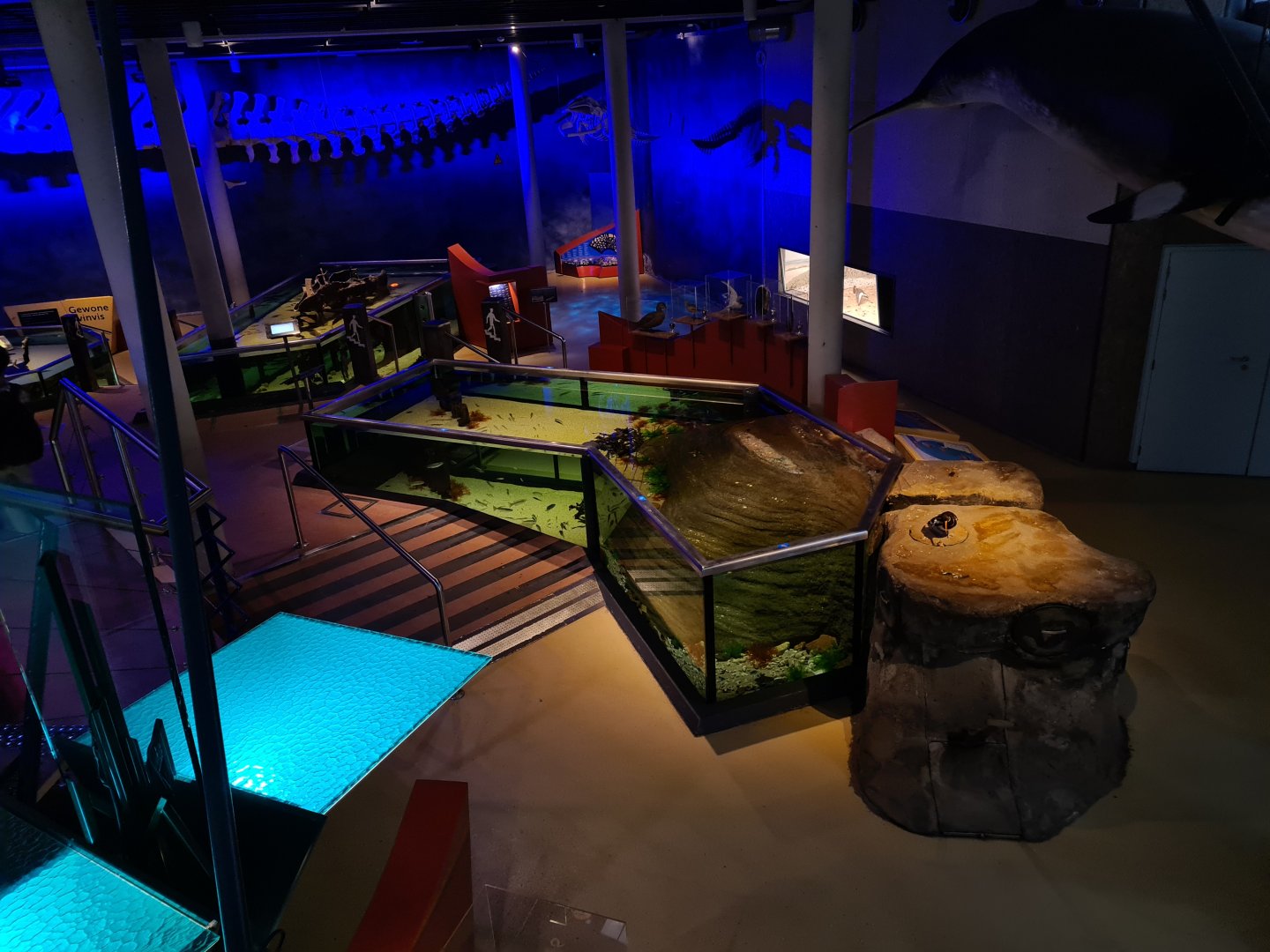 Wadden tank from above