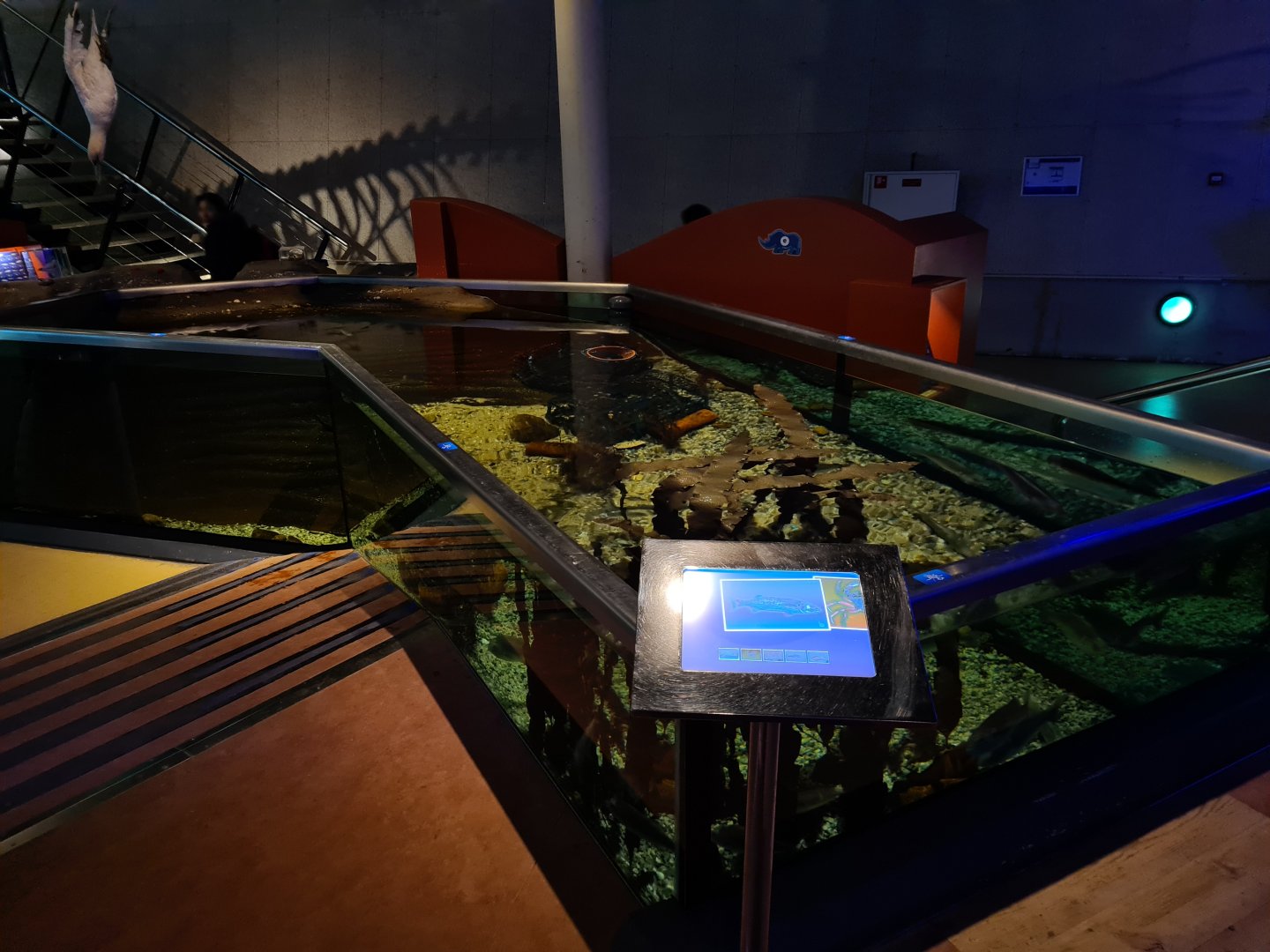 Wadden tank from above