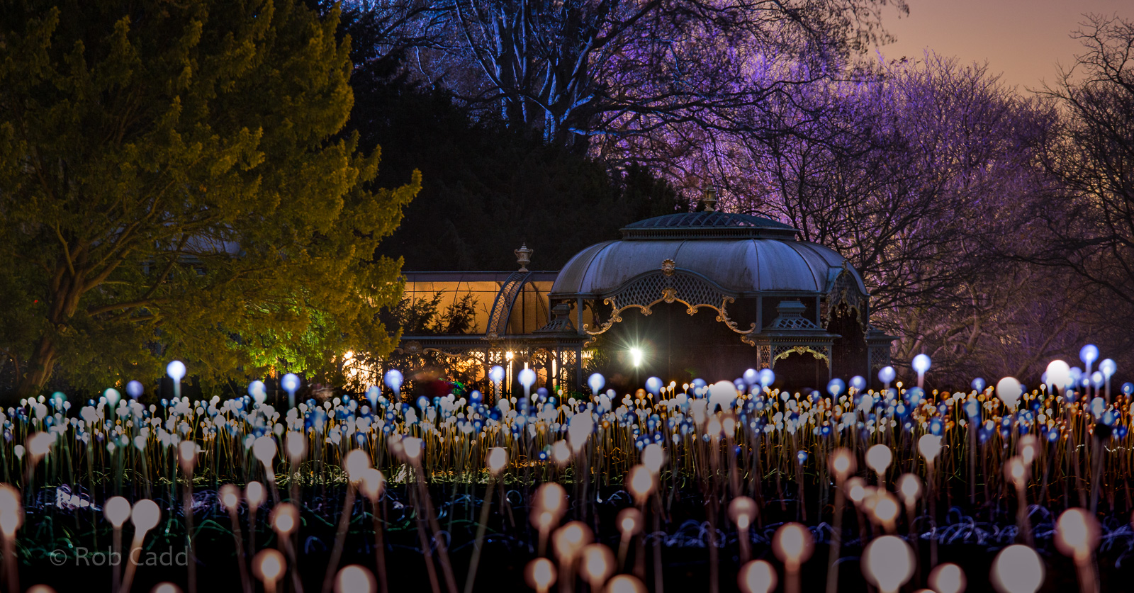 Waddesdon Manor Aviary : Waddesdon : 19 Nov 2016