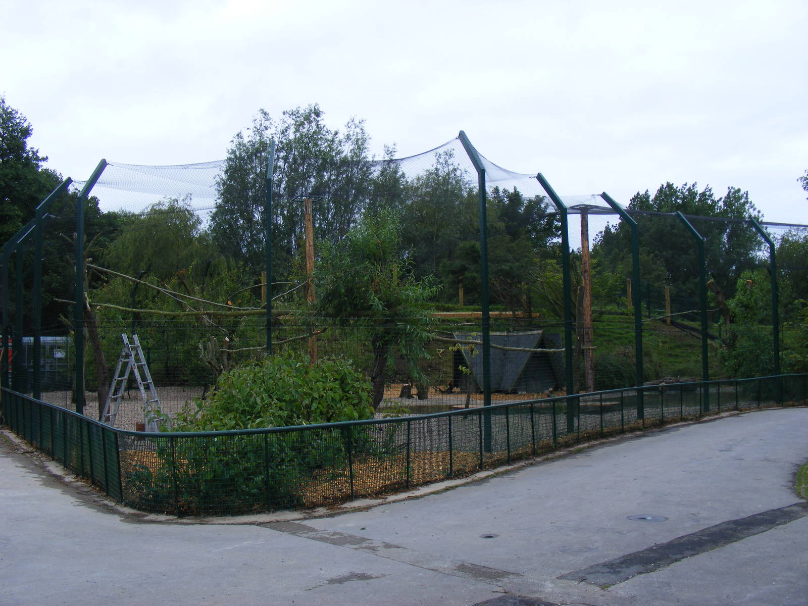 Wader aviary at Blackpool Zoo, 13 June 2011