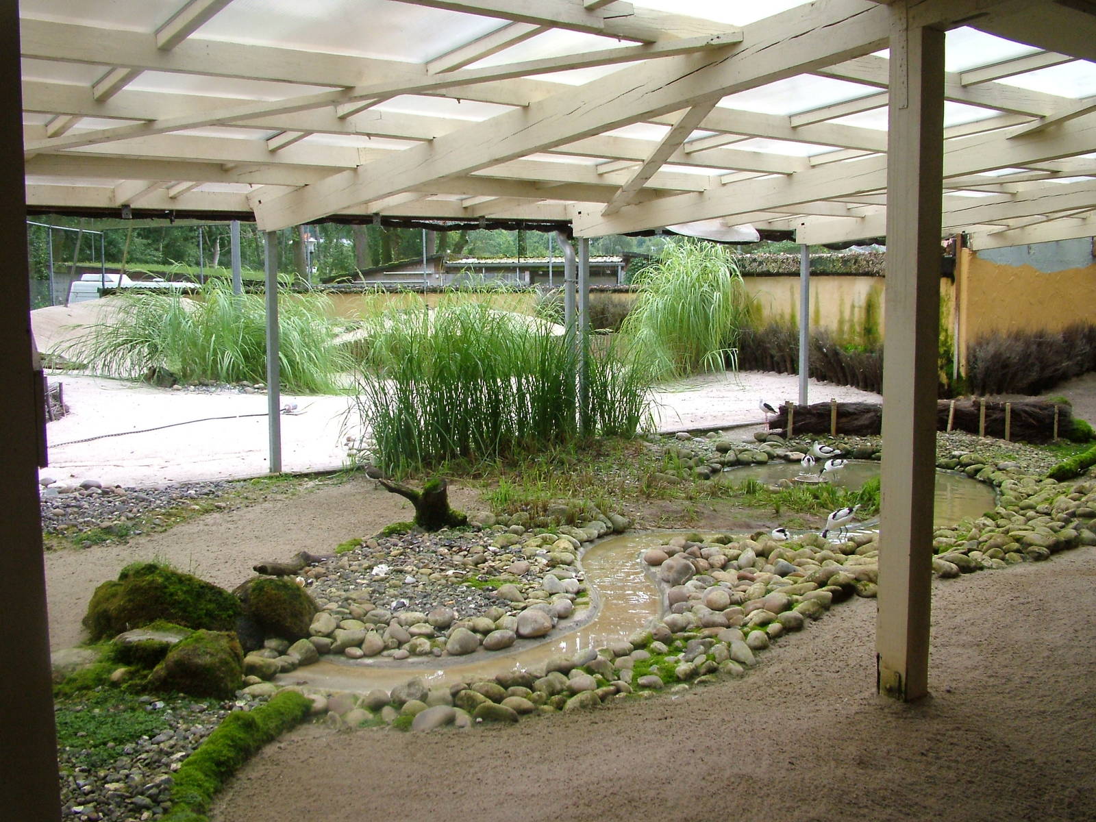 Wader Aviary at Darmstadt, 30/08/10