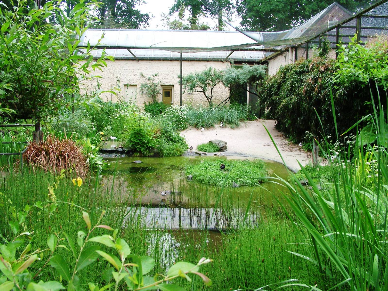 Wader Aviary at Rheine, 03/06/12