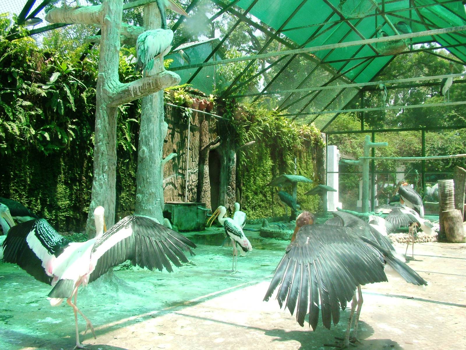 Wader Aviary at Saigon Zoo, 16/03/12