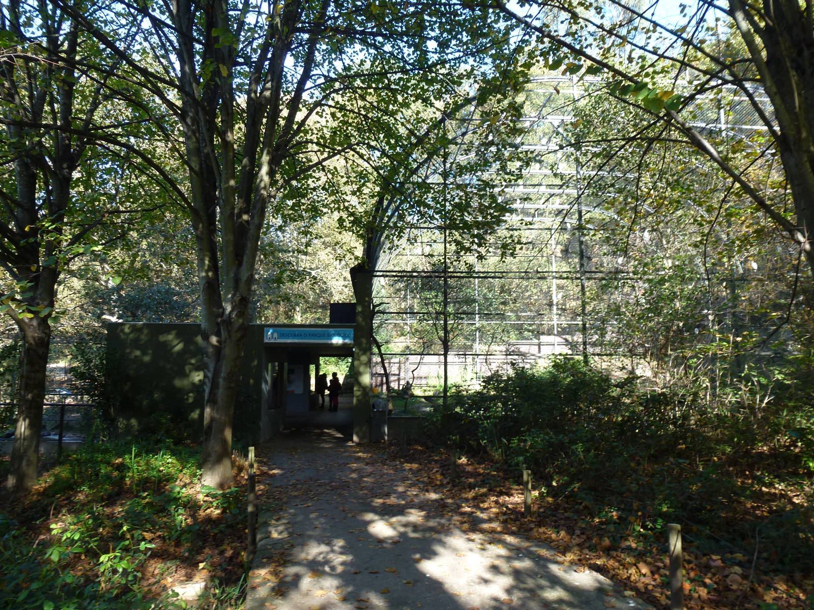 Wader aviary, November 2013.