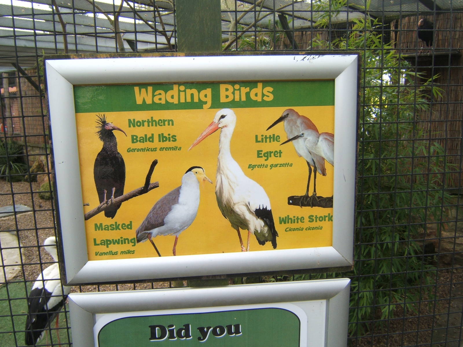 Wader Aviary signage