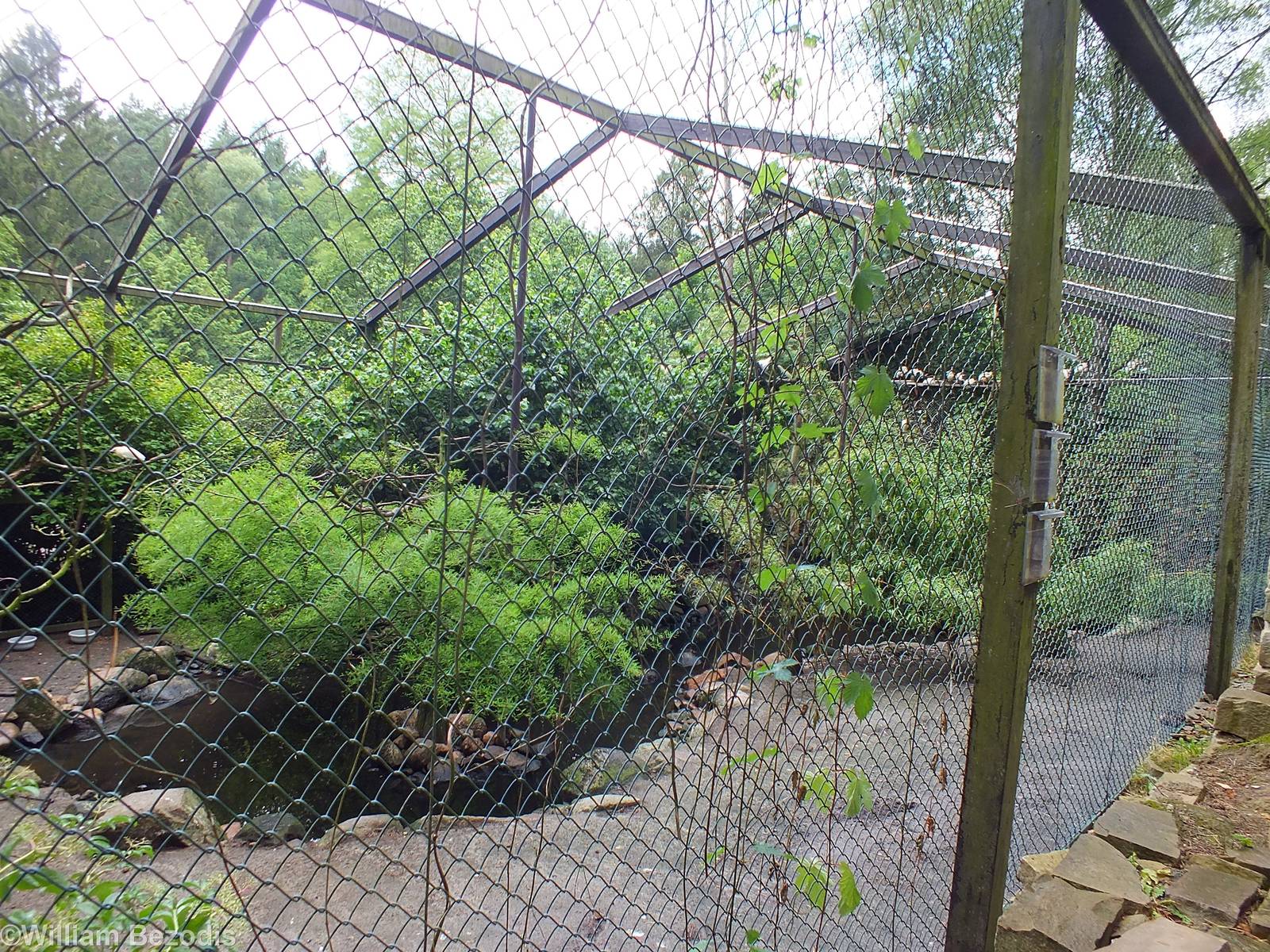 Wader Aviary that can be seen from 'Uhu-Burg'