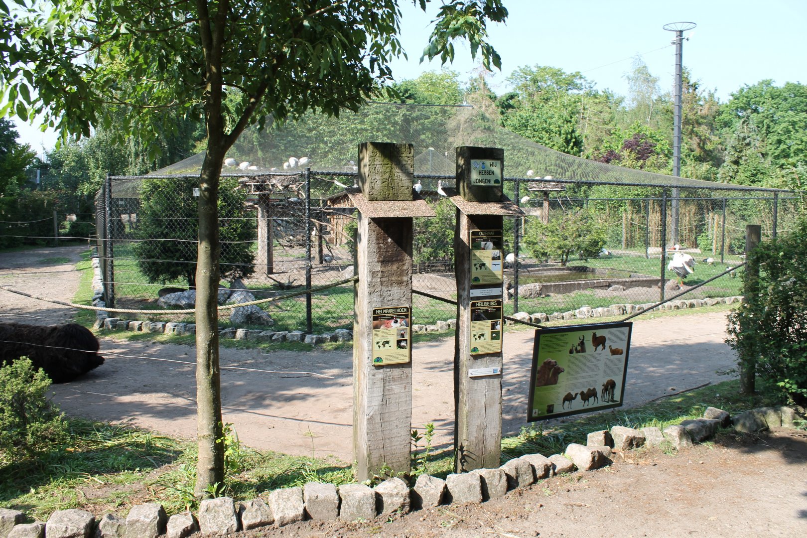 Wader Aviary