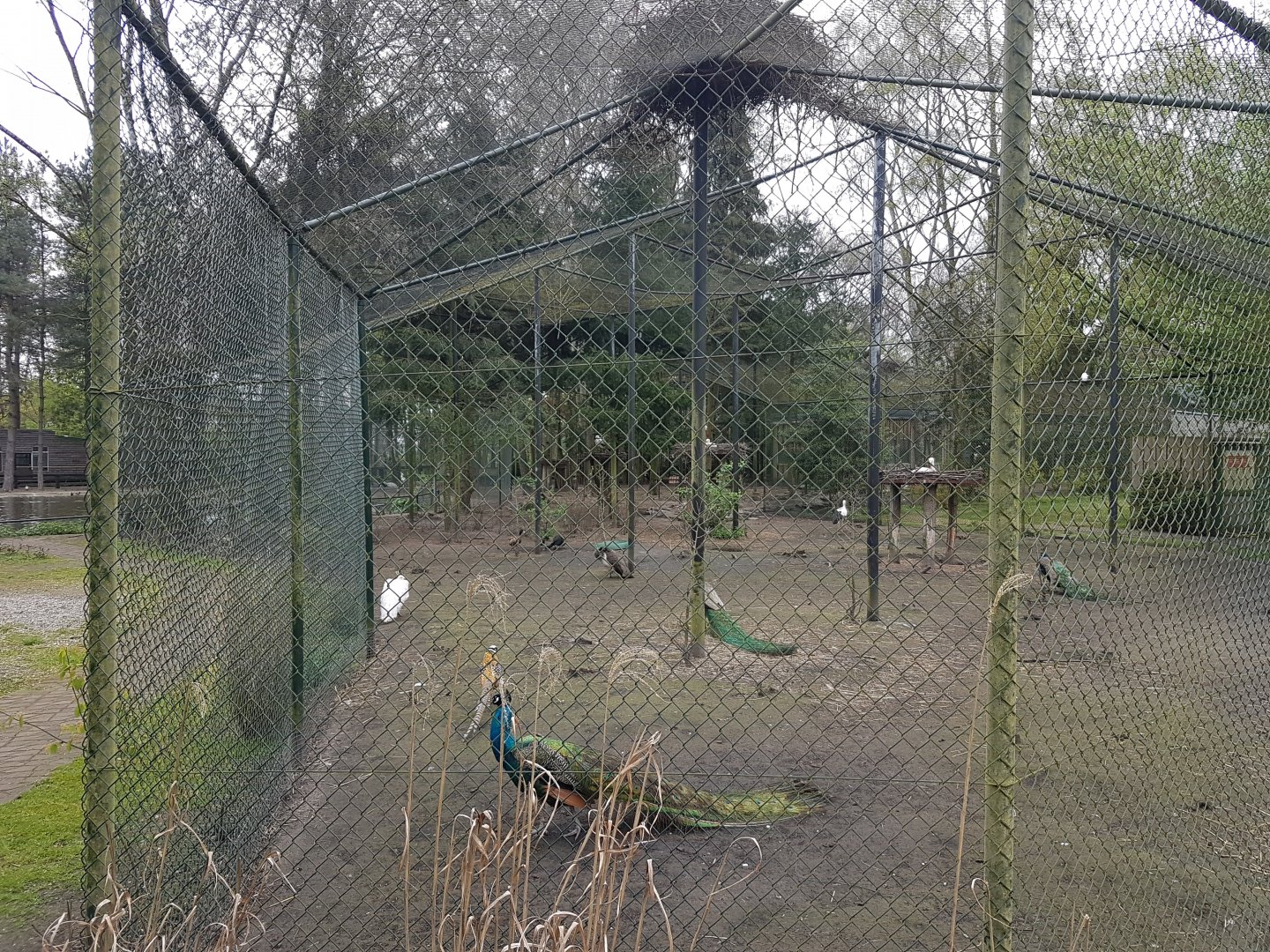 Wader-aviary